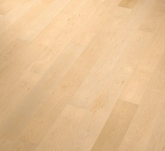 Kanadische Ahorn