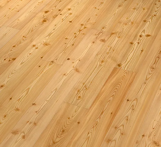 Lärche