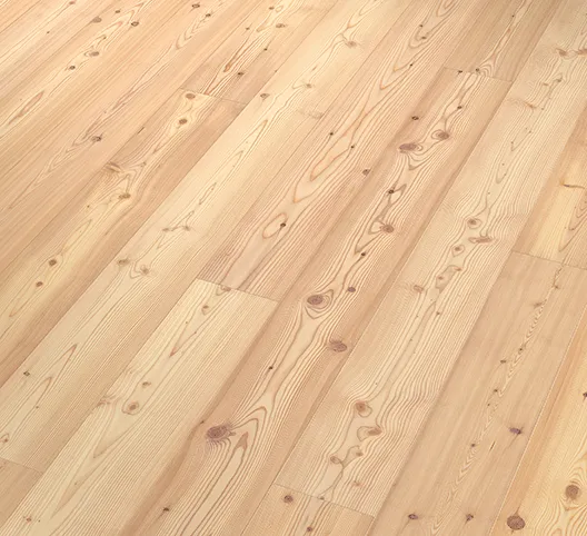 Lärche Weiß