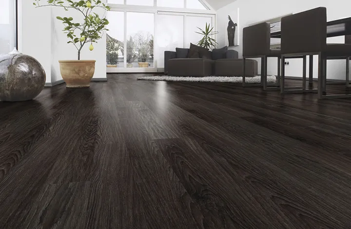 Wenge Auora